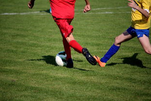 开云体育在线-国家女篮训练日程公开每日训练内容紧张高效，国家队女篮在哪里训练